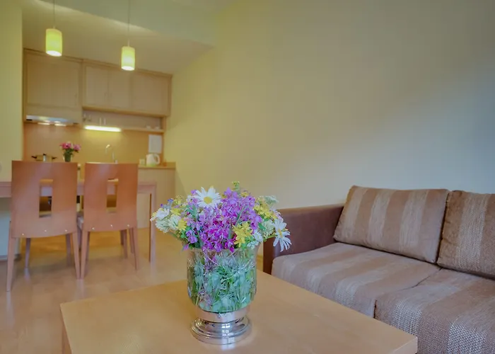 Effect Malina Lägenhetshotell 3*